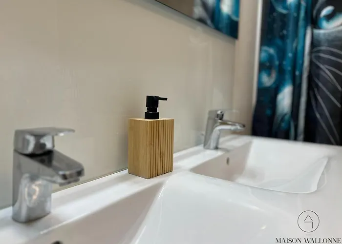 La Parenthese Celeste - 2 & Sauna Apartment Liege